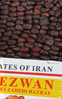 خرمای برهی