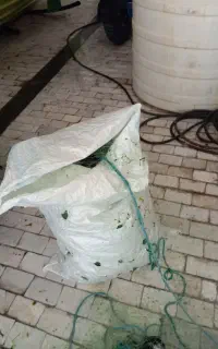 تور ماهی گیری