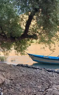 سرویس رفت و  برگشت به چالکندی ۲۵۰۰
