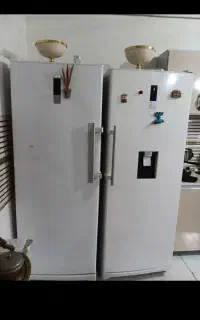یخچال دو قلو