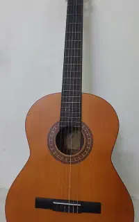 گیتار پارسی مدل M2