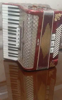 آکاردیون