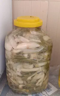 سه تا ترسی دونی یک میلیون 3ملیون