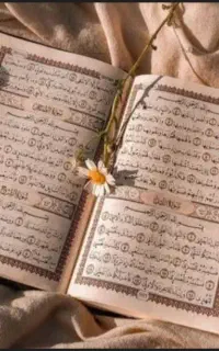خواندن قرآن برا اموات