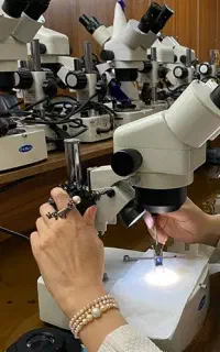 صدور شناسنامه (سنگ‌های قیمتی و شهاب سنگ)