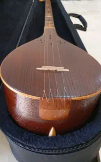 سه تار خوشصدا و حرفه ای