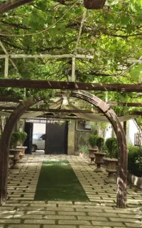 سالن عقد.نامزدی. تولد