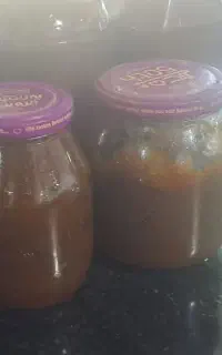 ترشی آلوچه