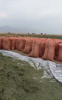یونجه گونی شده درجه یک