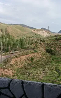 مشارکت در امور باغ انگور