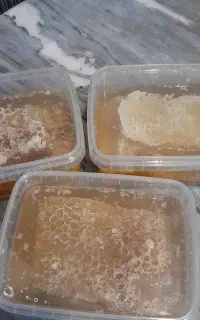 عسل طبیعی با موم