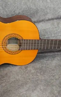 گیتار c40
