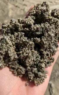 ماسه شسته دوبار شور و شن با حمل