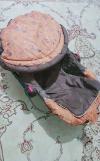 کریربه همراه یک عددآغوشی گیرنده بچه