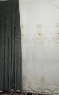 پرده و یال