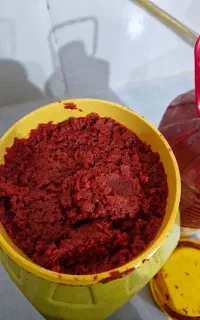 رب خانگی