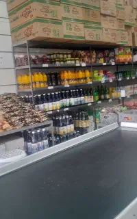 ادمین تخصصی ایتا روبیکا بله اینستاگرام