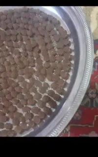 میخواهی درمان بشین