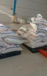 دونفر خانم جهت کار درشرکت