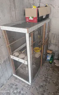 قفس پرنده