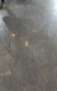 فروشنده خانوم
