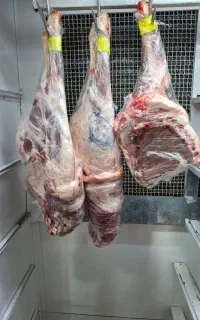 گوشت مرغ گوسفند گوساله