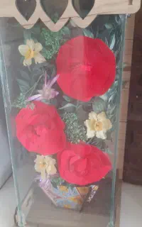 ثبت نام پیش دبستانی پسرانه