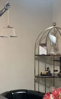 گروه وکلای جوان و متخصص