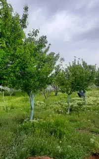 خانه ویلایی 1300 متر زمین ۱۴۰ متر بنا شهر فامنین