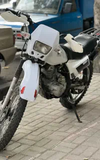تریل پیشرو