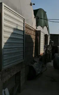 گلخانه گل‌های آپارتمانی