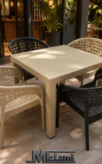 صندلی مدل رایکا