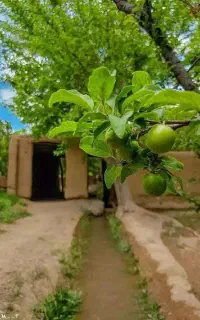 راهنمایی