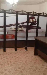 طرحدار پاراوان