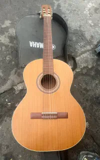گیتار درحدنو