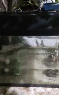 فروش اکواریوم