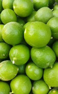 لیمو ترش