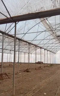 سازه گلخانه