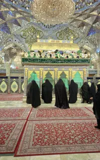 م ش ه د
