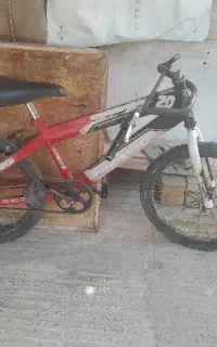 فروش دوچرخه