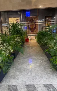 فصاسازی و رسیدگی به گیاهان آپارتمانی در محل