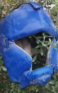 آموزش کیک‌بوکسینگ ویژه بانوان .خصوصی و عمومی