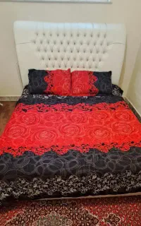 تخت دونفره.بادوپاتختی ومیزاینه