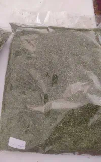 شوید خشک شده