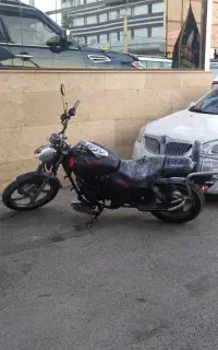 هارلی