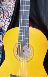 گیتار کاملا سالم و نو