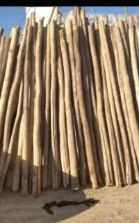 انواع چوب خریداریم