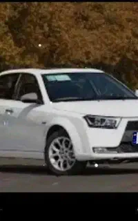 دنا پلاس اپشنال خشک