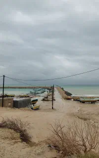 تور گردشگری