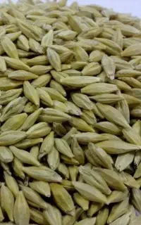 جو خارجی